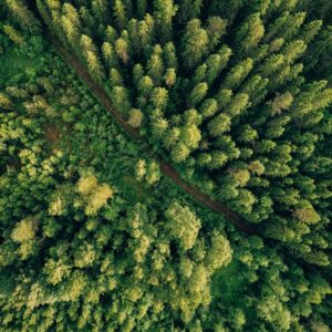 Elevate Your Life Coaching Program